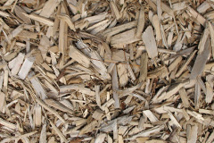 biomass boilers Dunkeld